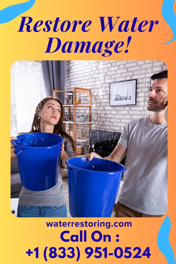 water restoration Express Disaster Cleanup Force Lawson Heights