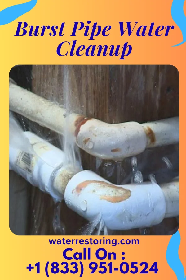 Burst Pipe Water Cleanup in Lawson Heights, PA