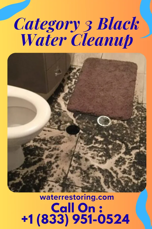 Category 3 Black Water Cleanup in Lawson Heights, PA