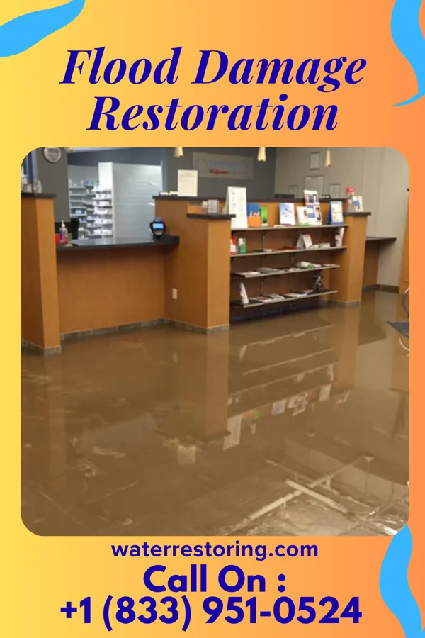 Flood Damage Restoration in Lawson Heights, PA