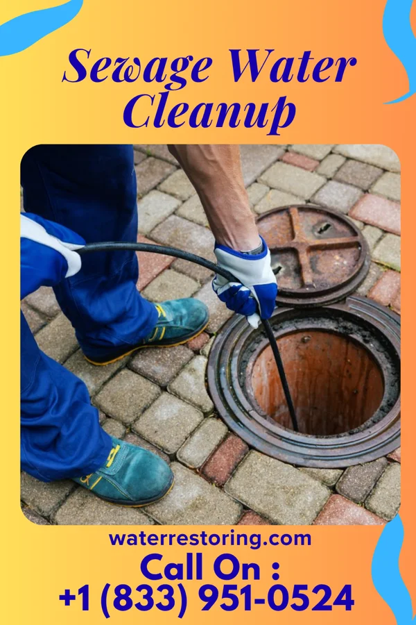 Sewage Water Cleanup in Lawson Heights, PA