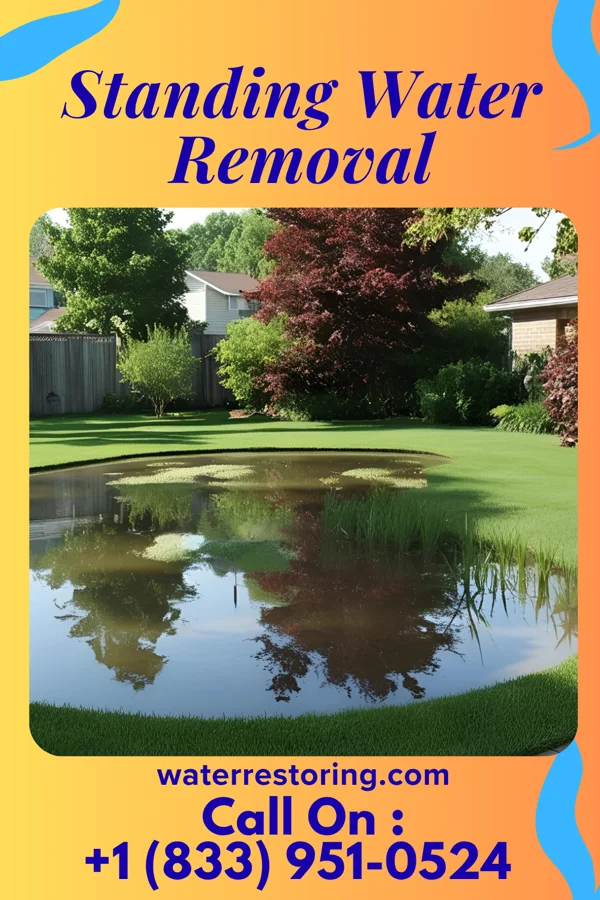Standing Water Removal in Lawson Heights, PA